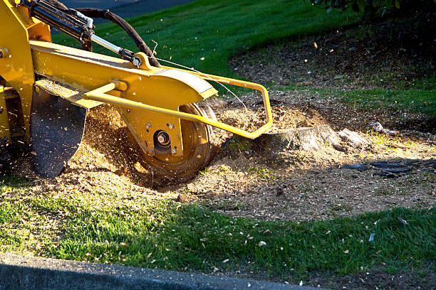Soil Testing and Treatment in Morrisville, NY